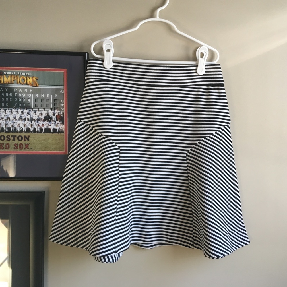 Express Skirt